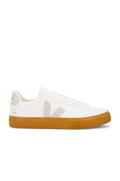 Veja Campo Sneaker in White Product Image