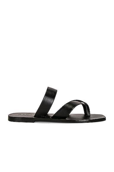 A.EMERY Carter Sandal in Black Product Image