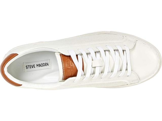 Steve Madden Finneas Sneaker Product Image