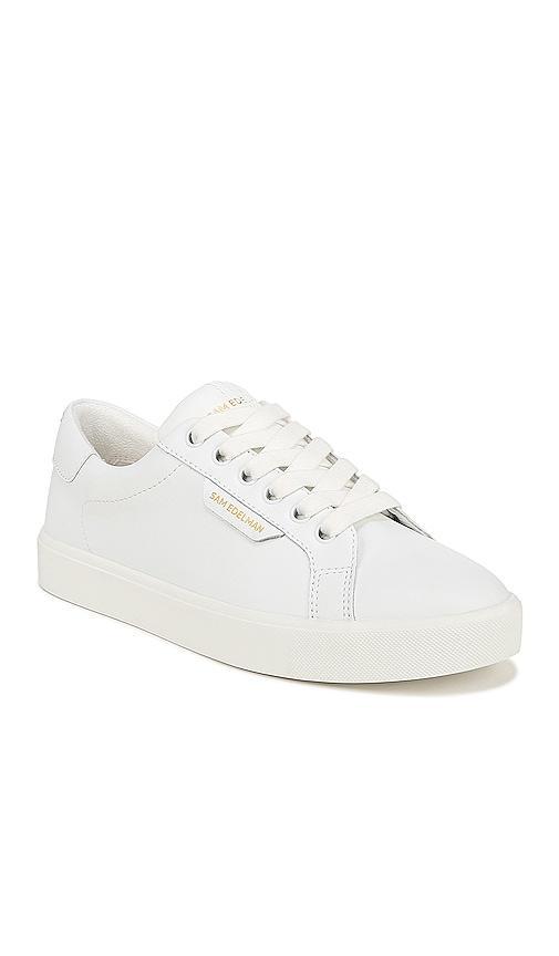 Sam Edelman Ethyl Low Top Sneaker Product Image