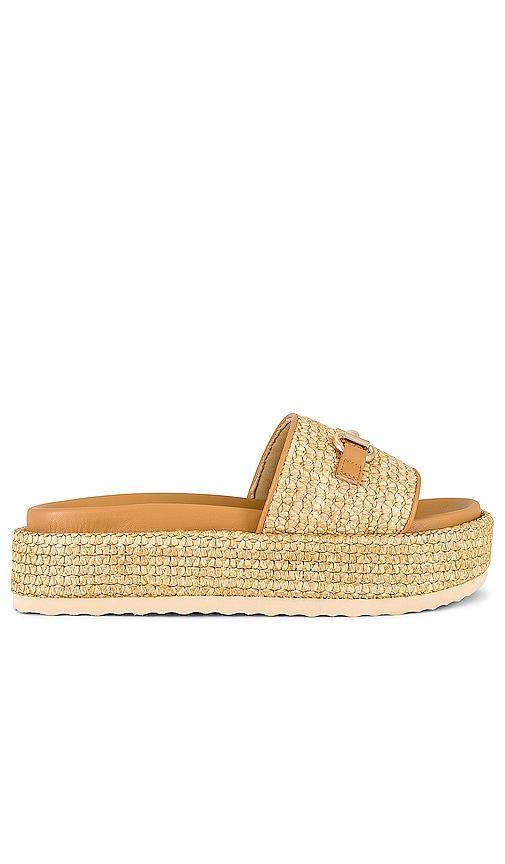 Steve Madden Kayley Platform Slide Sandal Product Image