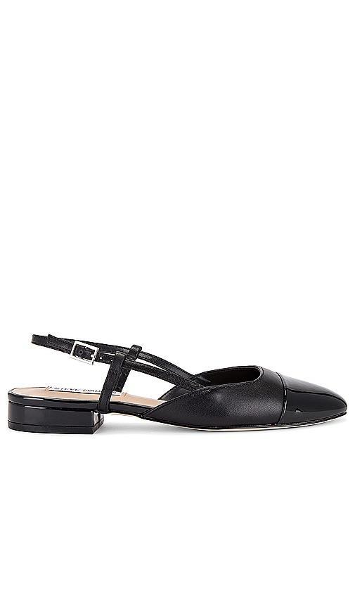 Steve Madden Belinda Flat Leather) Women's Flat Shoes Product Image