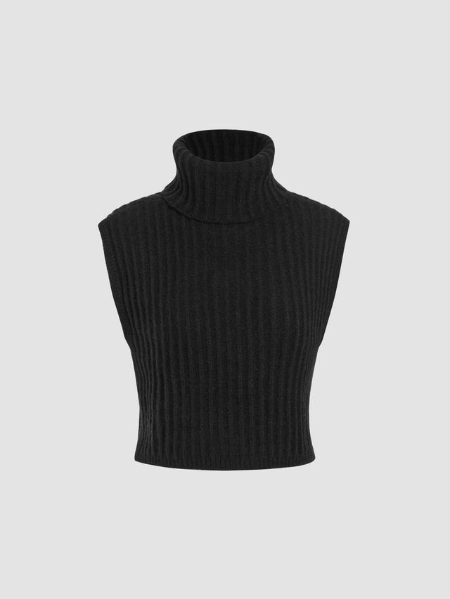 High Neck Solid Knitted Crop Top Product Image