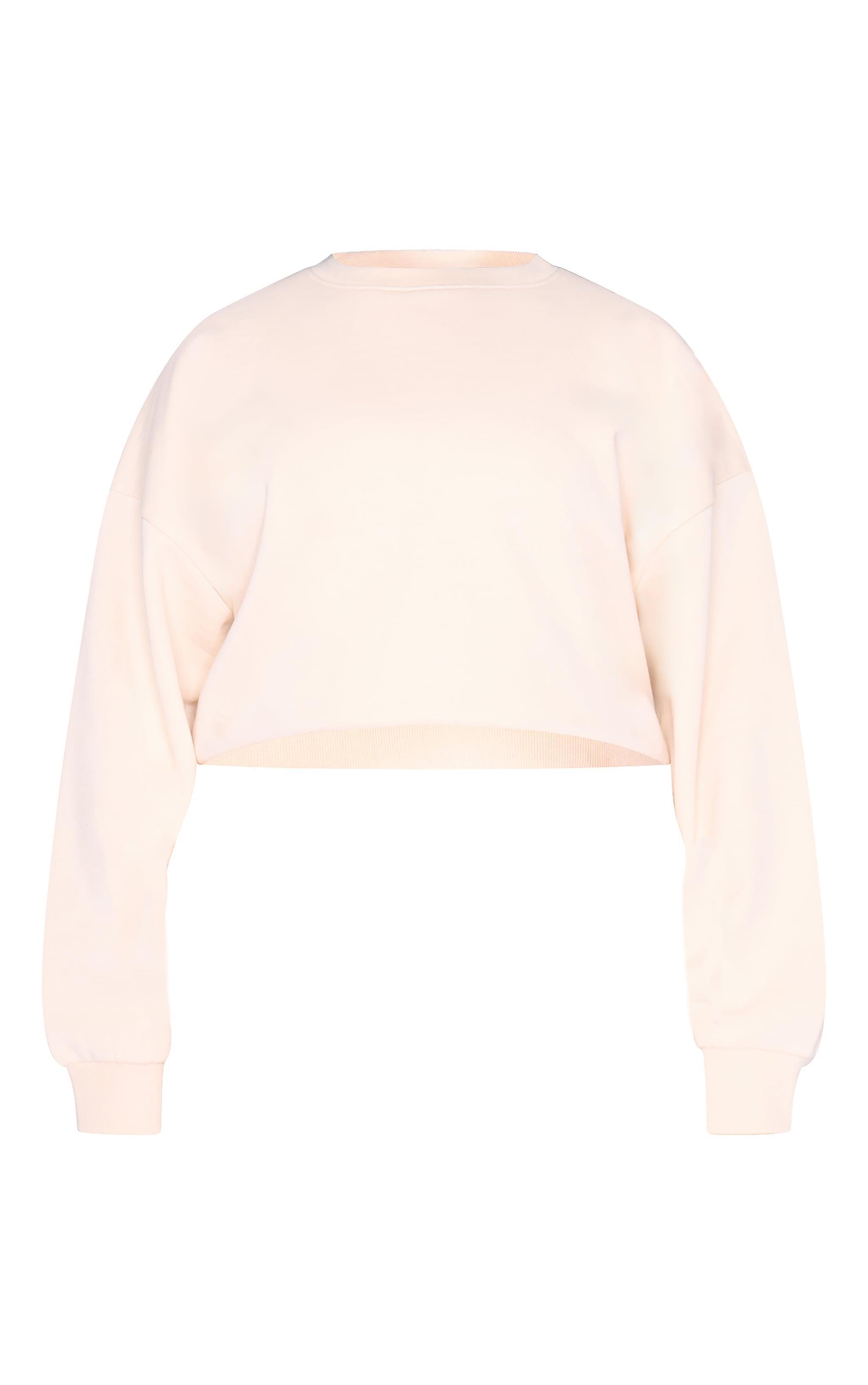 Plus Ecru Premium Basic Crew Neck Crop Sweatshirt Product Image