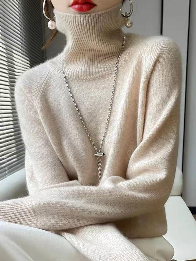 Turtleneck Plain Sweater Product Image