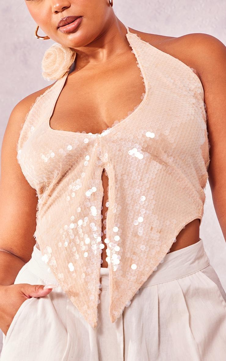 Plus Nude Sheer Sequin Corsage Top Product Image