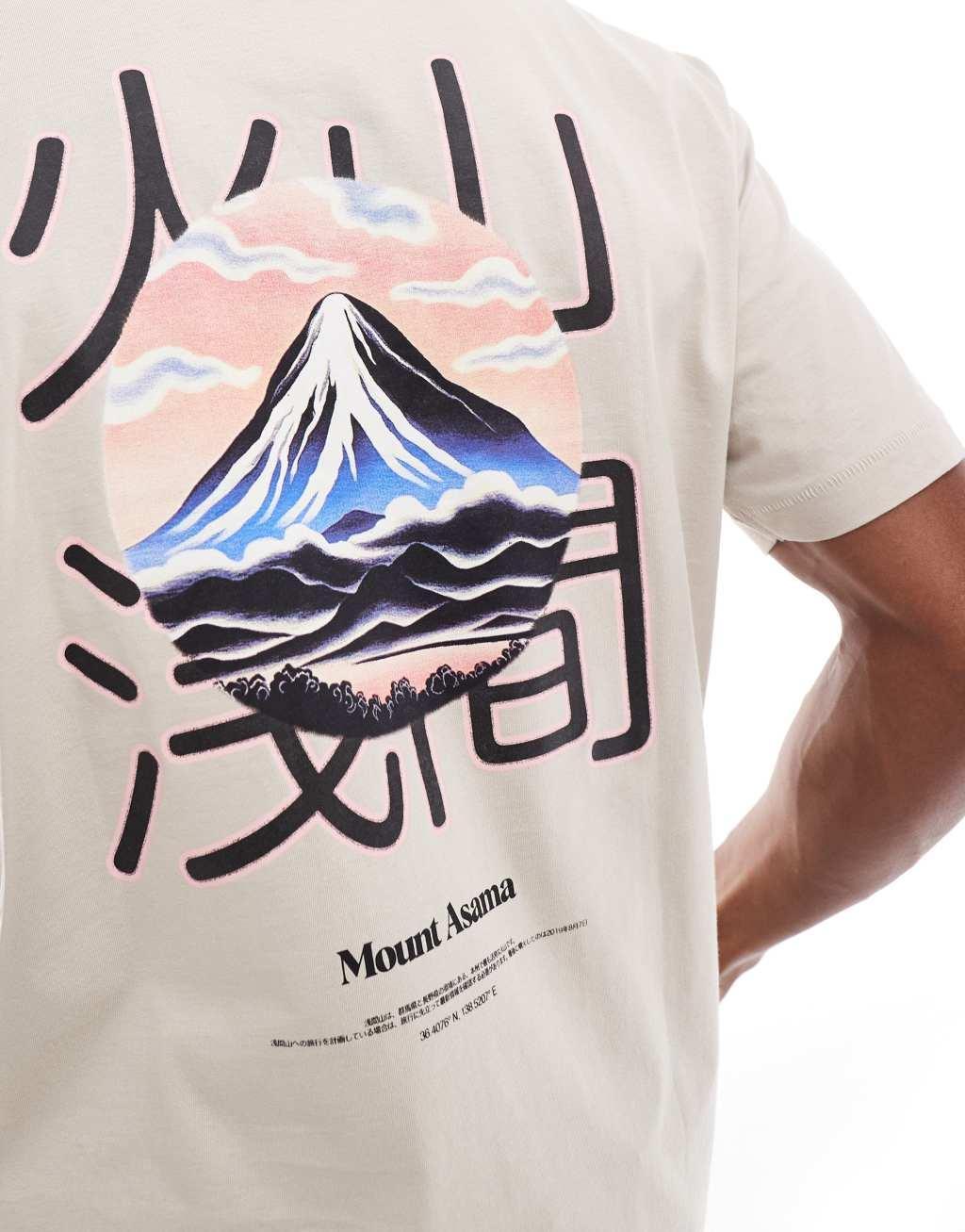 ONLY & SONS oversized T-shirt with mountain back print in stone Product Image