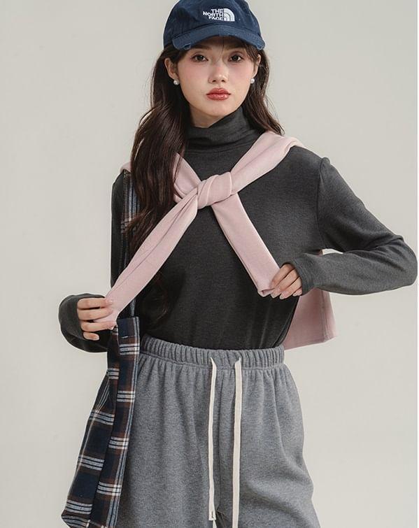 Long-Sleeve Turtleneck Plain Top Product Image