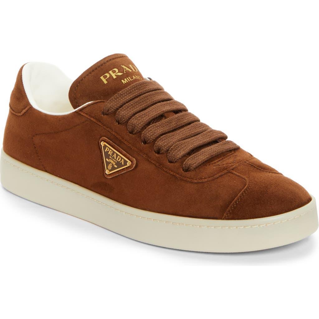 Lane Triangle Logo Low Top Sneaker In Rovere Product Image