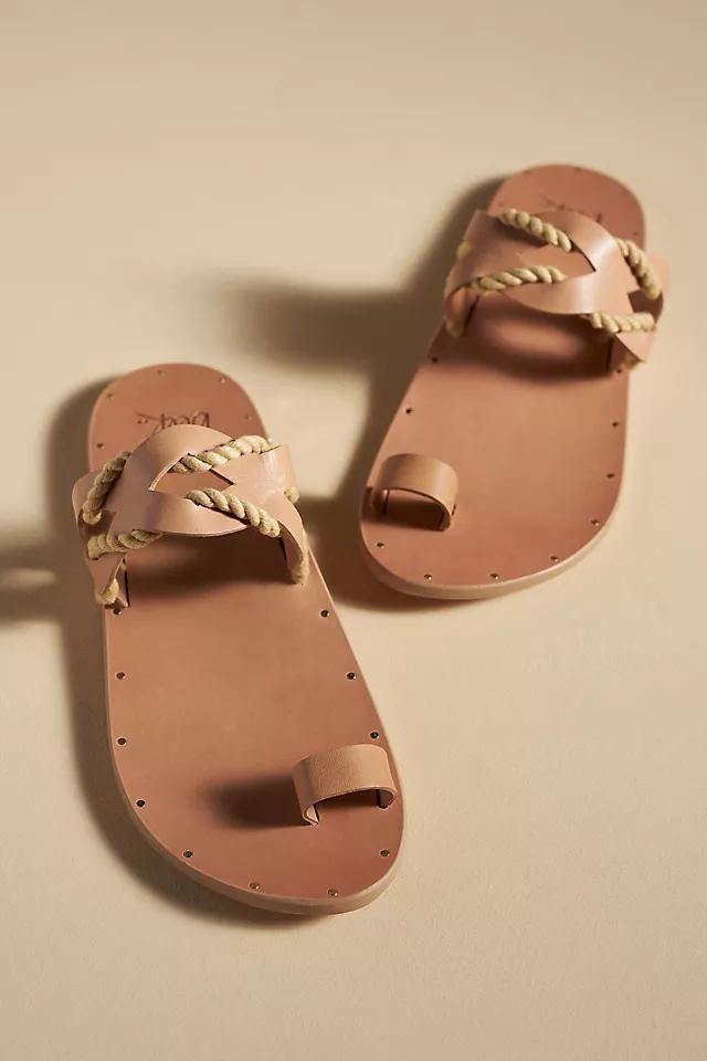 beek Treepie Sandals Product Image