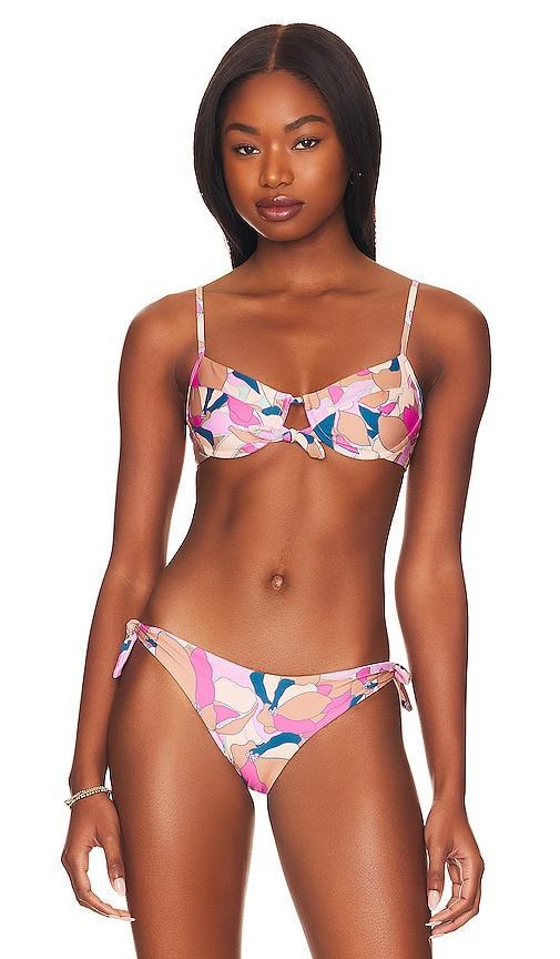 Rose Bikini Top Product Image