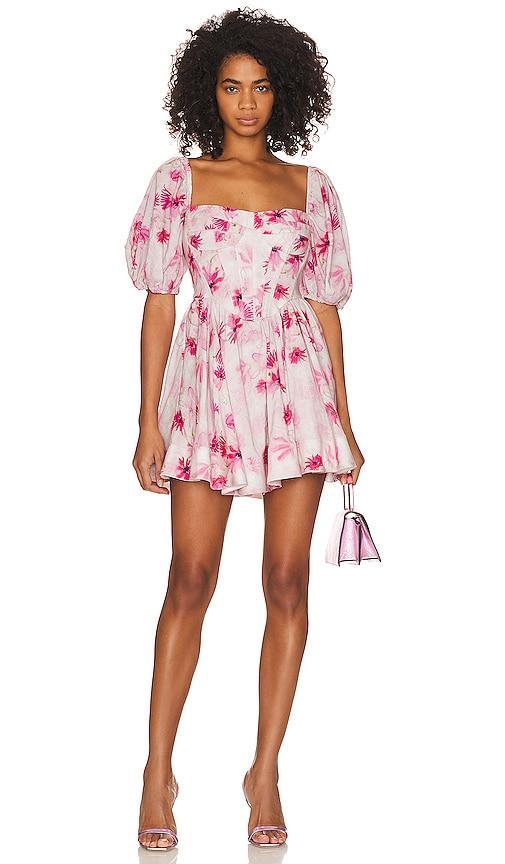 Kiah Mini Dress Product Image