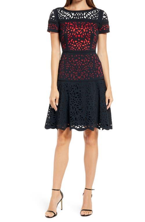 Shani Ombr Lace Fit & Flare Dress Product Image