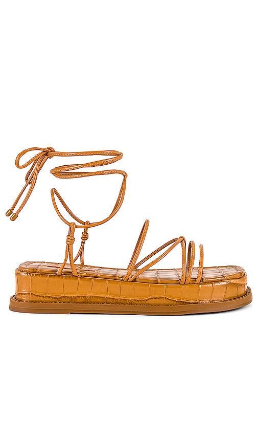 Schutz Athena Flat Sandal in Brown. Size 10, 9.5. Product Image