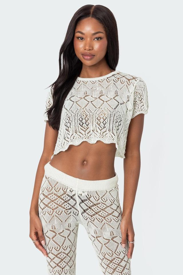 Fable Crochet Crop Top Product Image