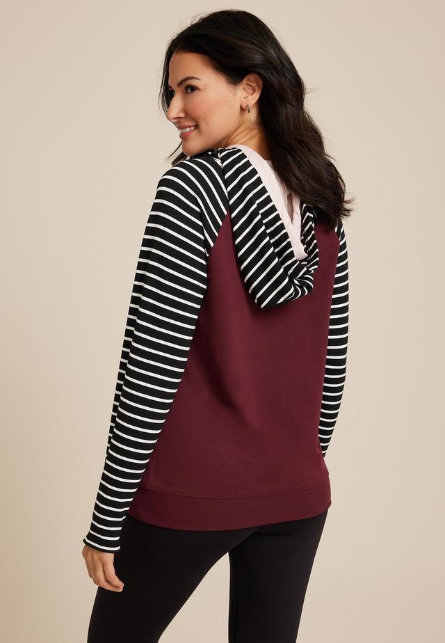 Homeward Striped Colorblock Hoodie Product Image