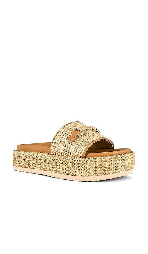 Steve Madden Kayley Platform Slide Sandal Product Image