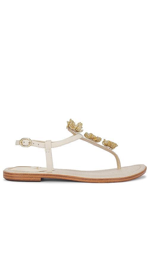 Sam Edelman Gigi Flora Sandal in Ivory. Size 10, 6.5, 7.5, 8, 8.5, 9, 9.5. Product Image