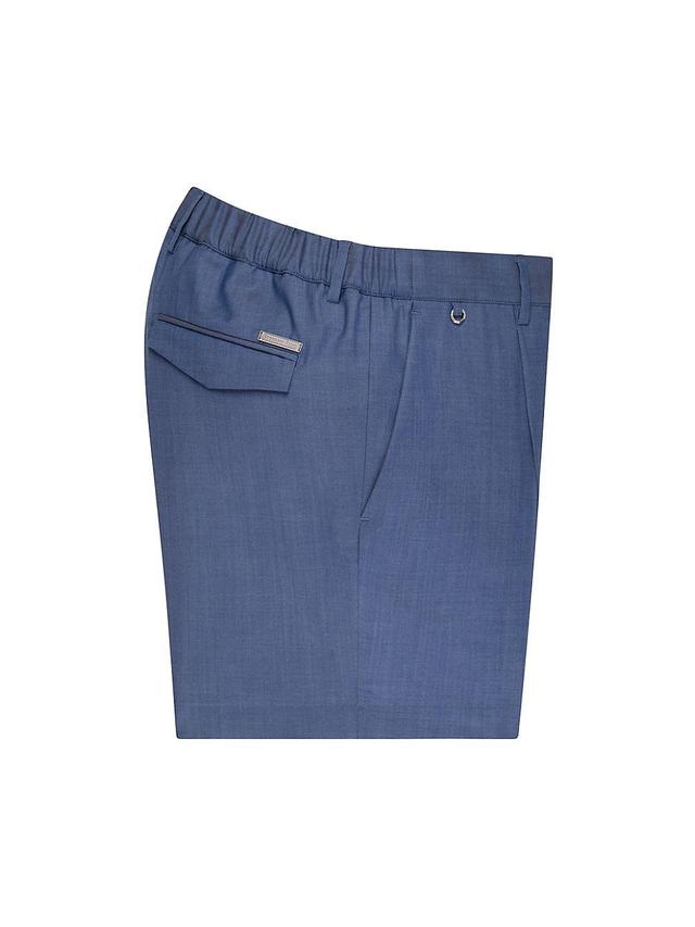 Mens Bermuda Shorts Product Image