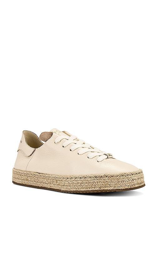 Sam Edelman Poppy Jute Sneaker in Cream. - size 9 (also in 6, 6.5, 7.5, 8, 8.5, 9.5) Product Image