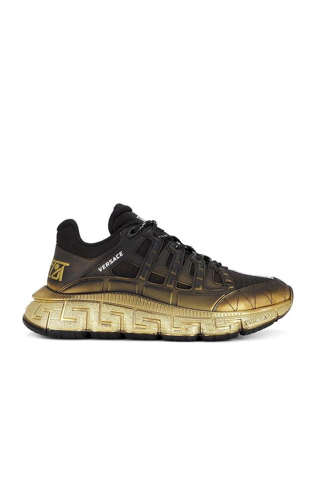 VERSACE Sneaker in Black Product Image