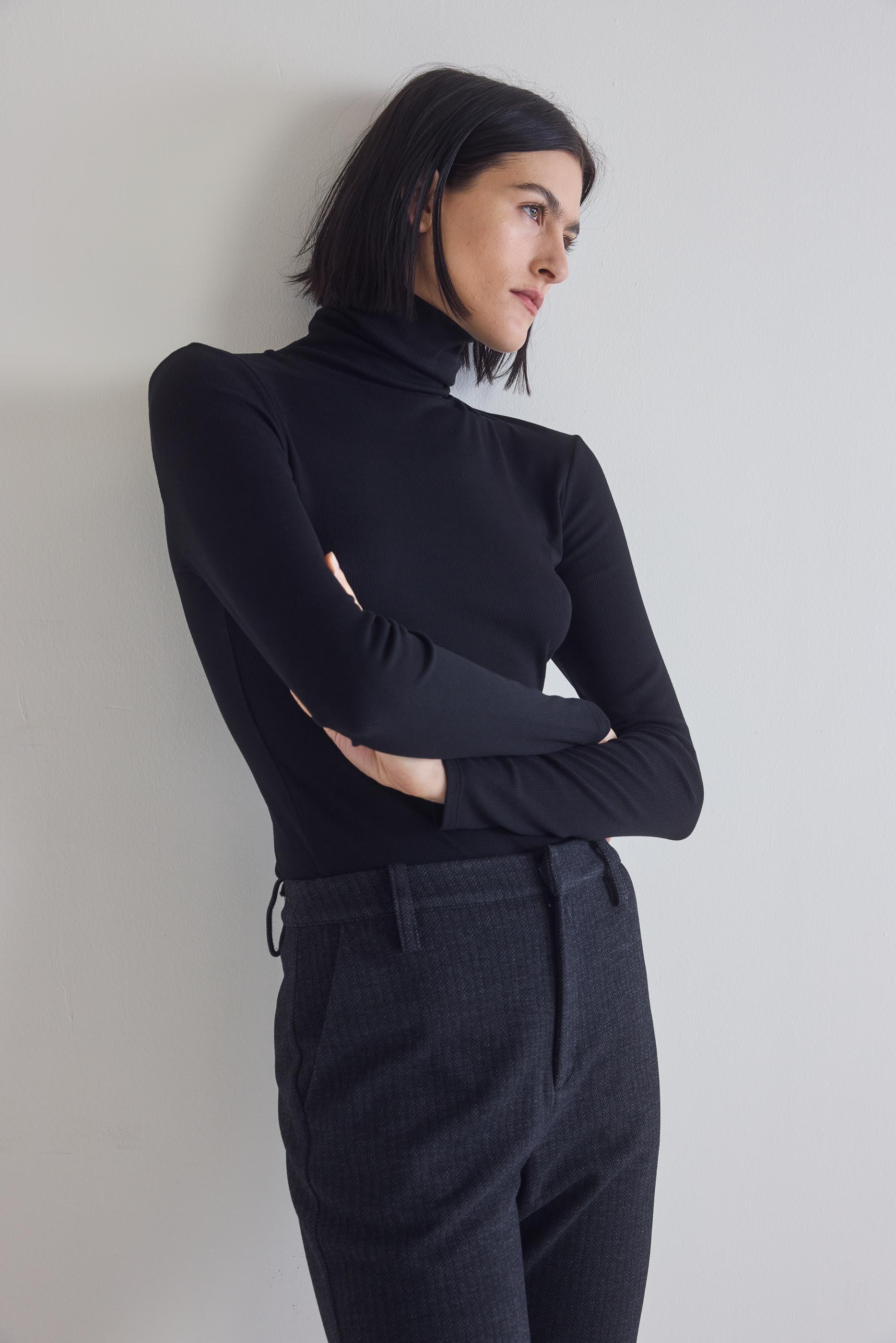 The Ribbed Turtleneck Product Image