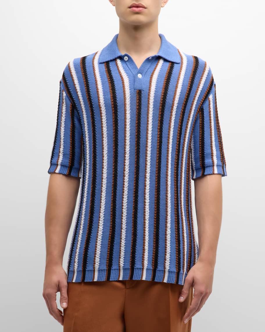 Mens Vertical Striped Knit Polo Shirt Product Image