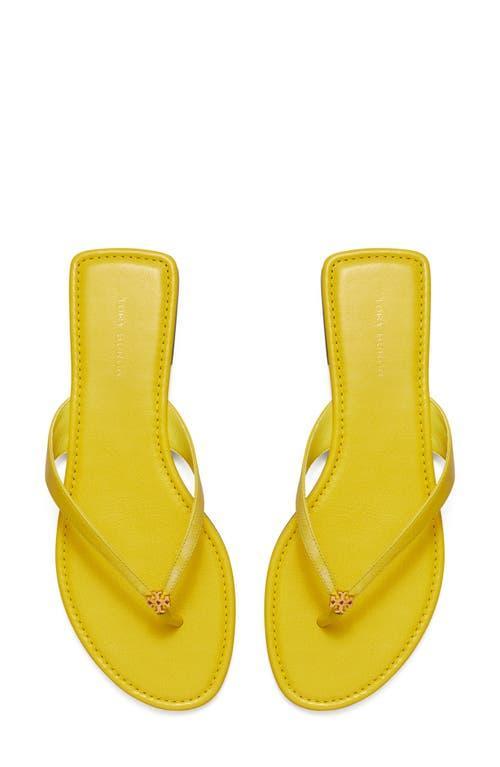 Womens Classic Leather Flip Flops Product Image