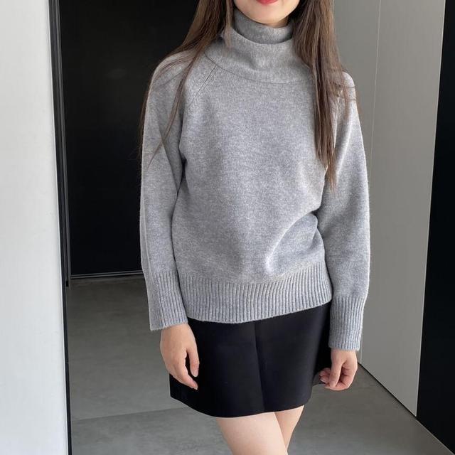 Turtleneck Plain Sweater Product Image