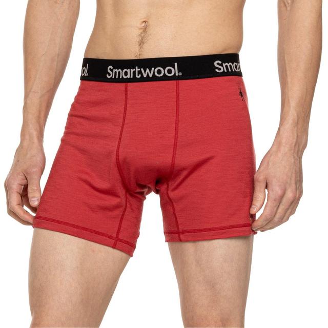 SmartWool Merino Sport Everyday Boxer Briefs - Merino Wool Product Image