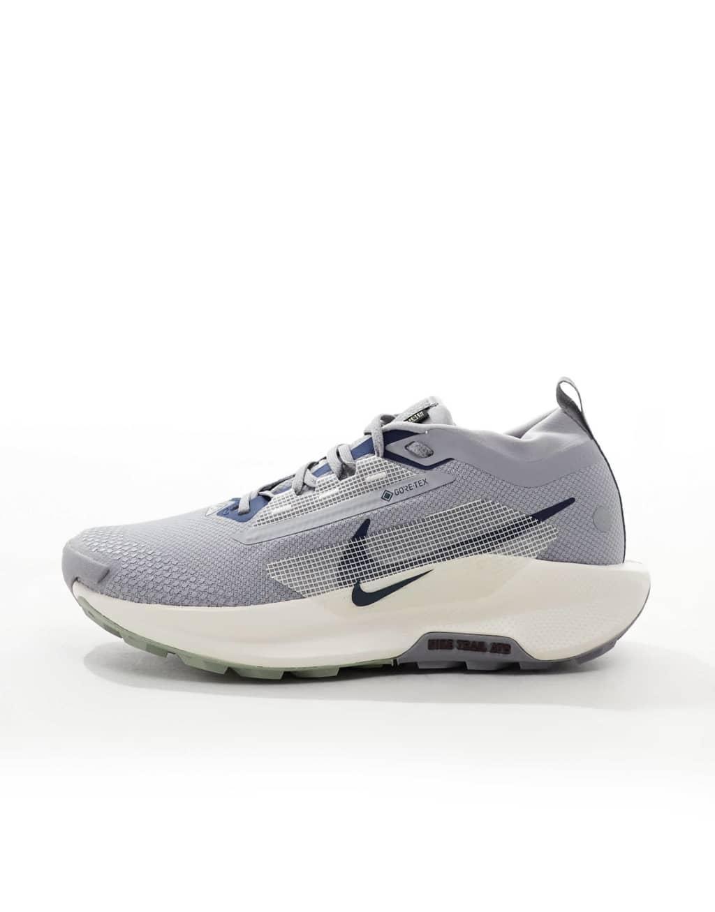 Nike Running Pegasus Trail 5 GORE-TEX sneakers in gray Product Image