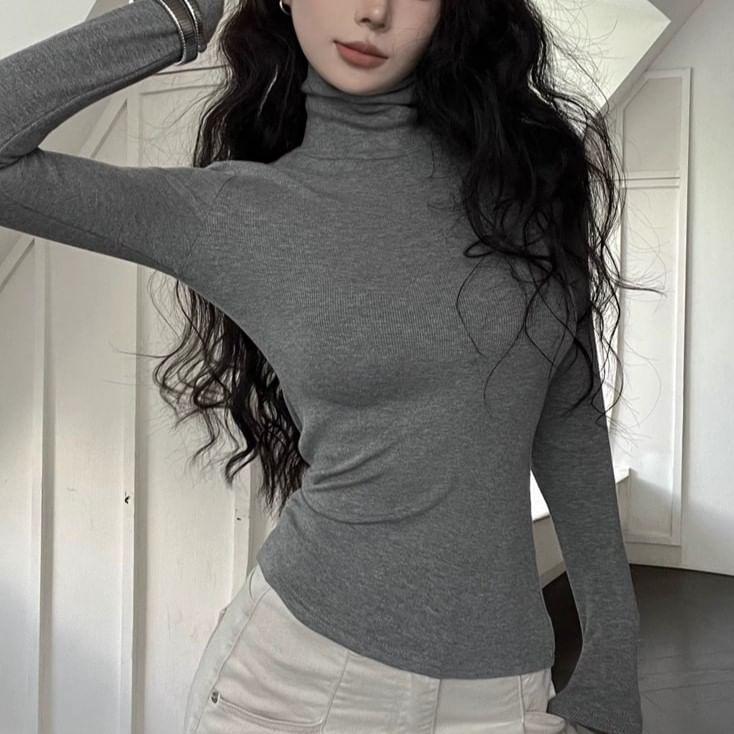 Long Sleeve Turtleneck Plain Top Product Image