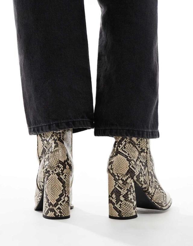 London Rebel Maddie block heel ankle boots in snake  Product Image