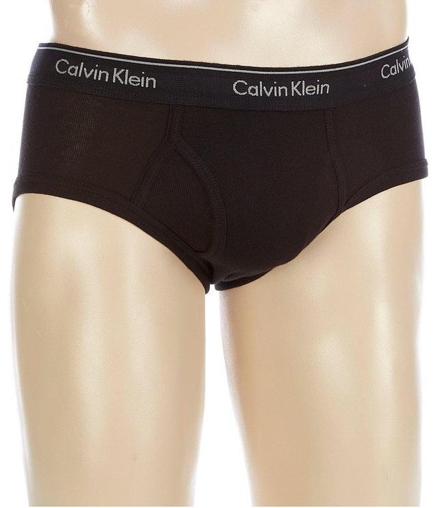 Calvin Klein Cotton Classic Briefs 3-Pack Product Image