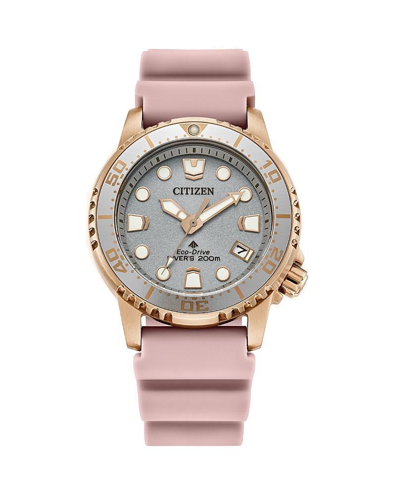 Citizen Eco-Drive Promaster Dive Watch, 36.5mm Product Image