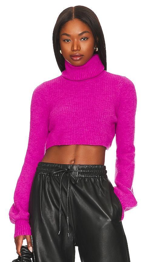 Cesare Cropped Sweater Product Image