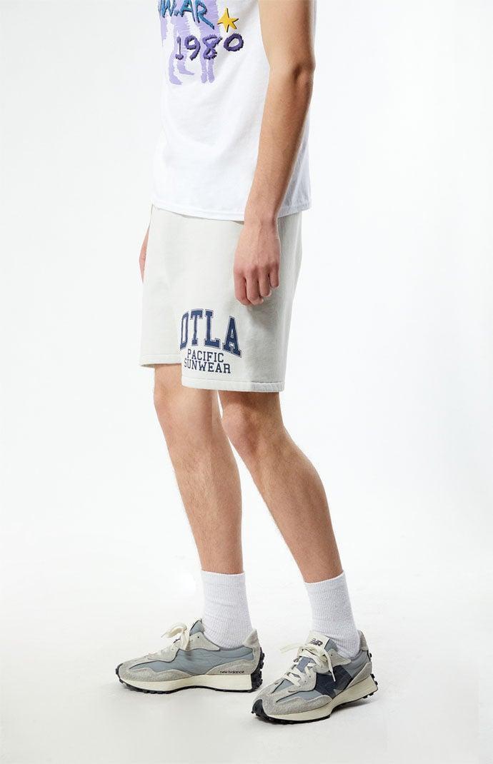 Men's DTLA Pacific Sunwear Fleece Sweat Shorts Product Image