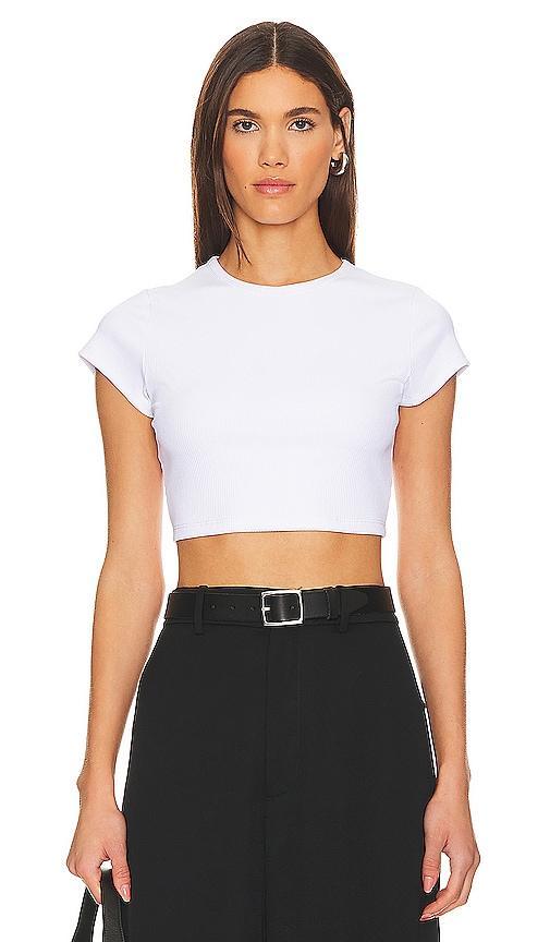 Susana Monaco Crewneck Rib Crop T-Shirt Product Image