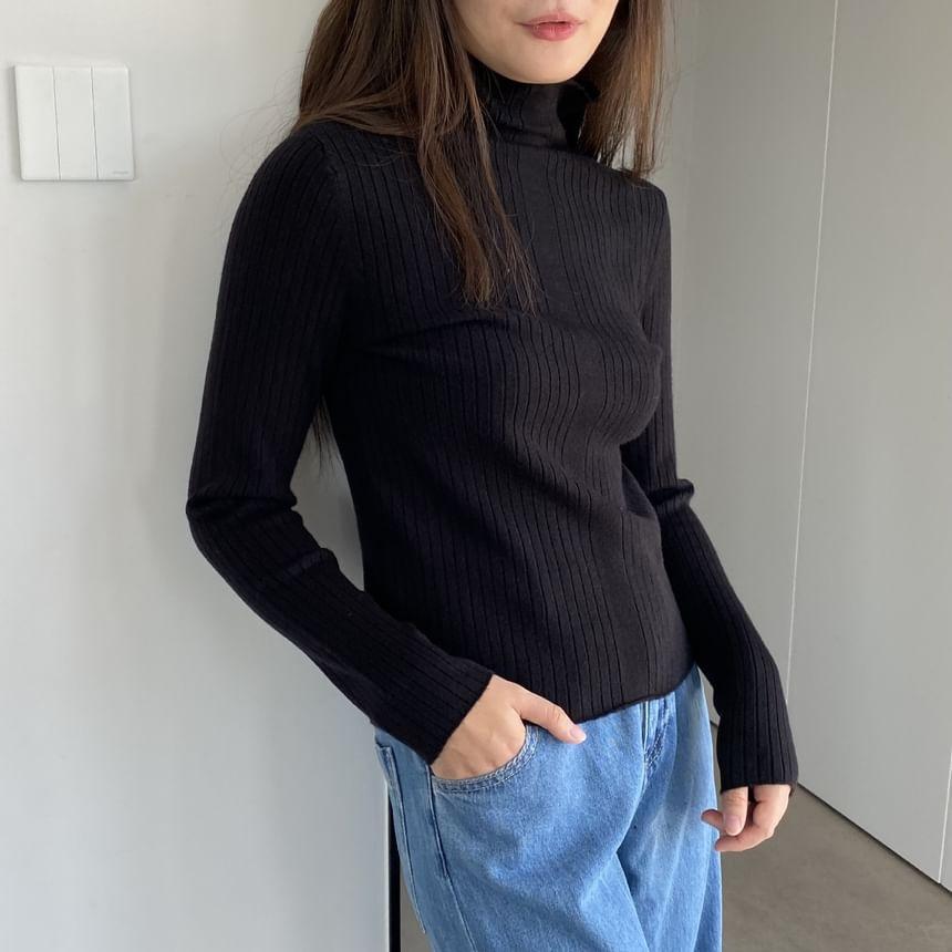 Turtleneck Plain Ribbed Sweater Product Image