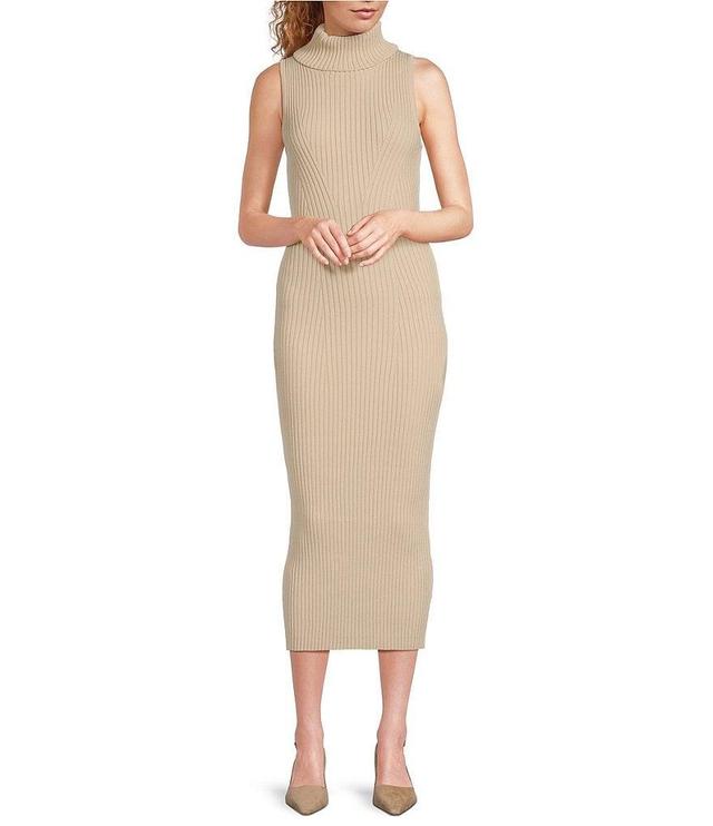 ASTR the Label Channery Rib Knit Turtleneck Sleeveless Sweater Maxi Dress Product Image