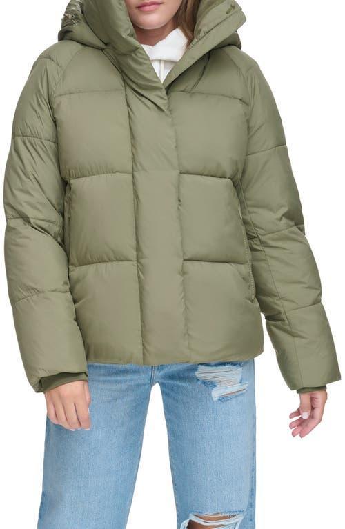 levis Hooded Puffer Jacket Product Image