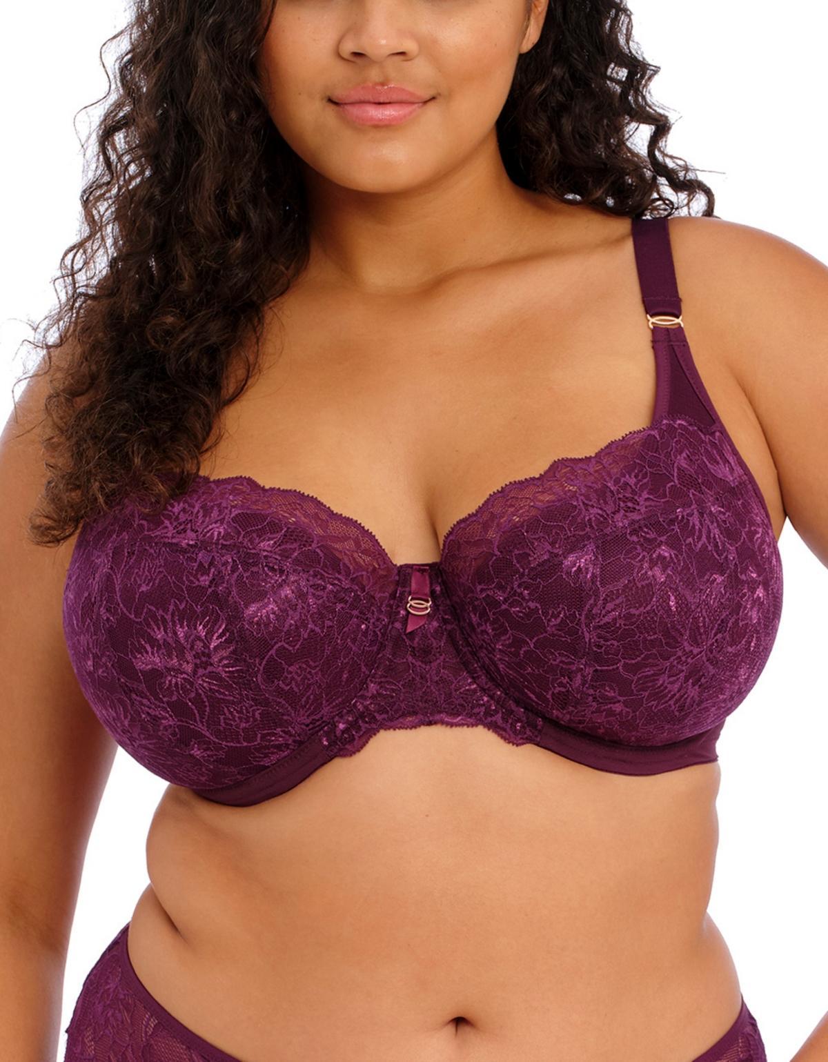 Elomi Brianna Padded Half Cup Scallop Lace Overlay Push Product Image