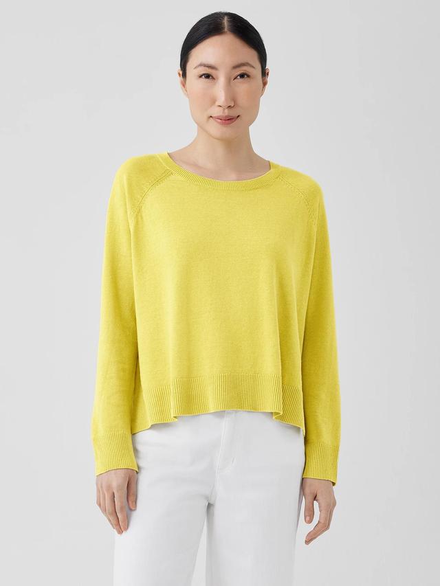 EILEEN FISHER Organic Linen Cotton Raglan-Sleeve Topfemale Product Image