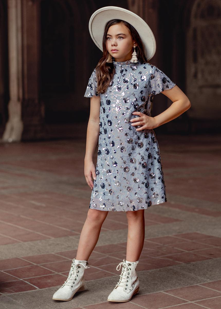 Ansel Dress in Blue Smoke Product Image