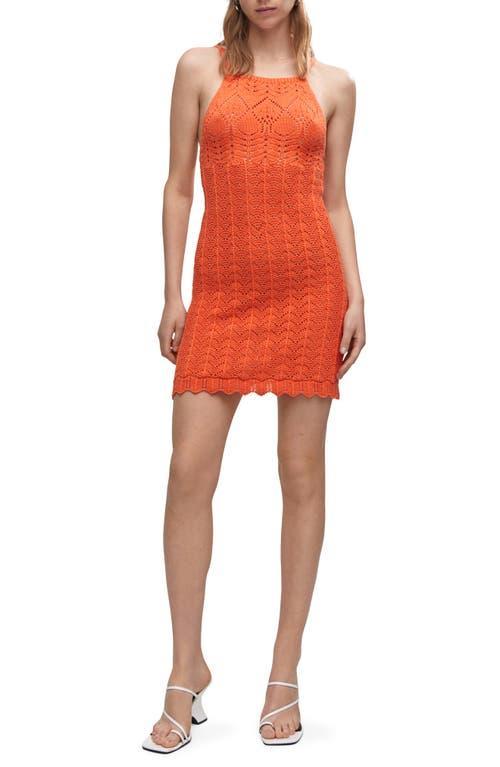 MANGO Sheer Open Knit Minidress Product Image