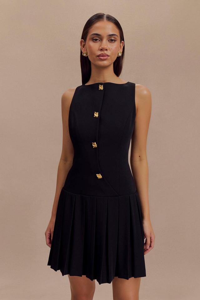 Mackenzie Sleeveless Pleated Mini Dress - Black Product Image