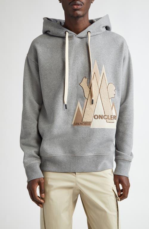 Grenoble Logo Printed Drawstring Hoodie In Grey Product Image