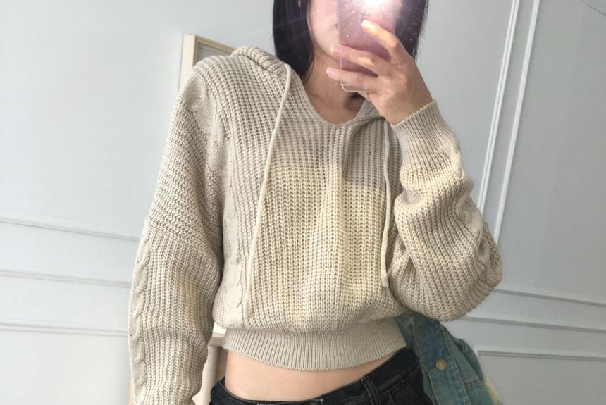 Plain Crop Hooded Sweater Product Image