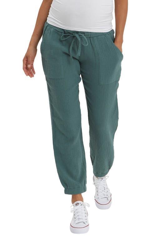 Womens Chamonix Jogger Pants Product Image