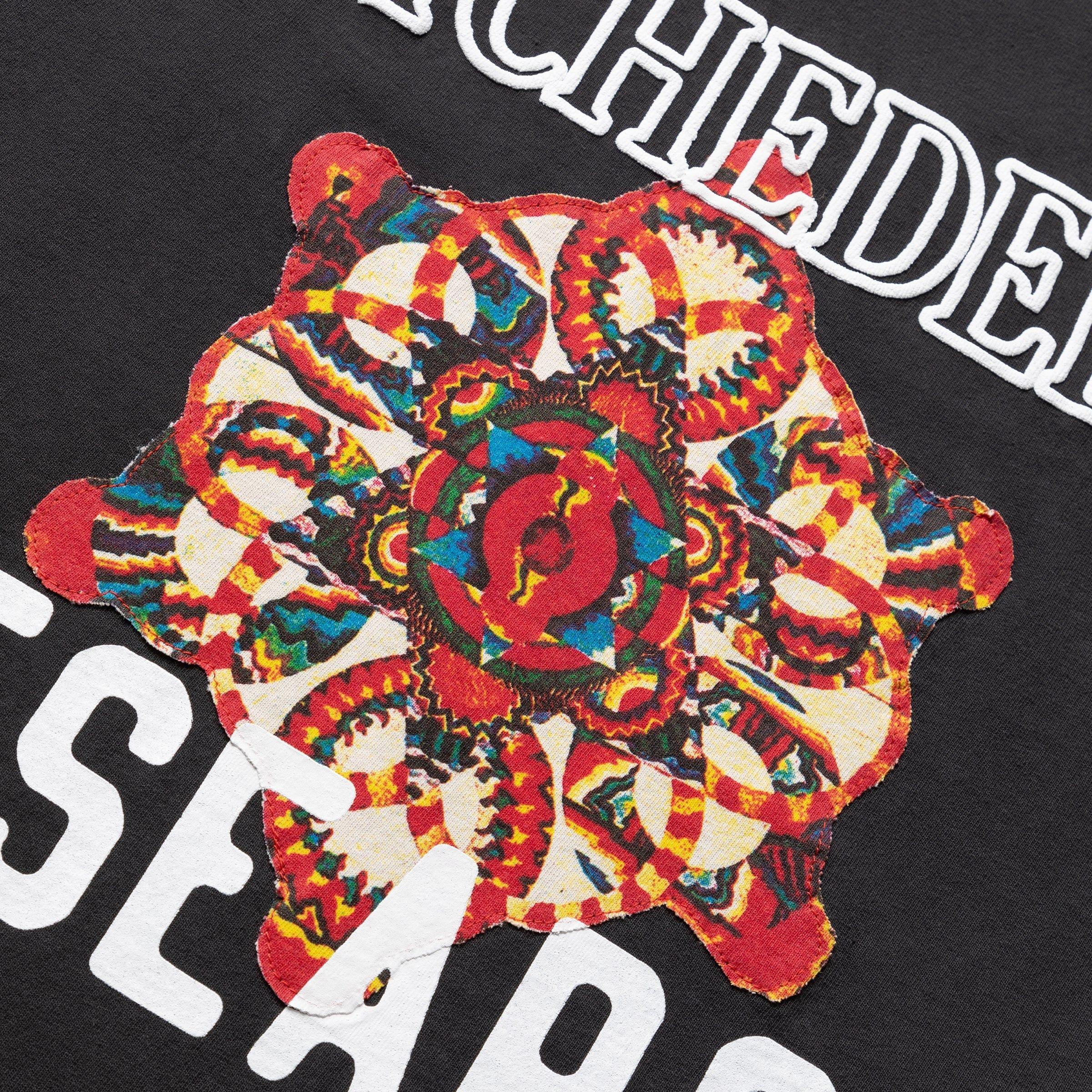 PSYCHEDELIC RESEARCH T-SHIRT Male Product Image